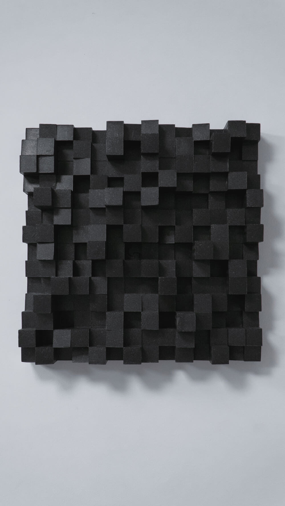 Acoustic Force - За нас